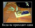 Нажмите на изображение для увеличения
Название: 120062429_beda_ne_prihodit_odna.jpg
Просмотров: 404
Размер:	98.5 Кб
ID:	2030140