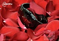 Нажмите на изображение для увеличения
Название: march.jpg
Просмотров: 8024
Размер:	48.9 Кб
ID:	204437