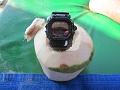 Нажмите на изображение для увеличения
Название: IMG_1639.jpg
Просмотров: 155
Размер:	304.1 Кб
ID:	205064