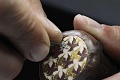 Нажмите на изображение для увеличения
Название: 6-Vacheron%20Constantin%20Metiers%20d'Art%20Les%20Univers%20Infinis%20-%20Dove%20Sertissage_01_U.jpg
Просмотров: 834
Размер:	131.8 Кб
ID:	205603