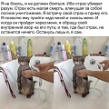 Нажмите на изображение для увеличения
Название: 10853334.jpg
Просмотров: 347
Размер:	69.2 Кб
ID:	2059191