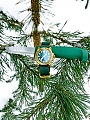Нажмите на изображение для увеличения
Название: 20180121_152024.jpg
Просмотров: 205
Размер:	671.7 Кб
ID:	2071094