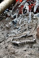 Нажмите на изображение для увеличения
Название: IMG_9811.jpg
Просмотров: 1498
Размер:	112.7 Кб
ID:	20839