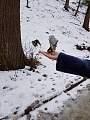 Нажмите на изображение для увеличения
Название: image-uni-178460-1779662500.jpeg
Просмотров: 249
Размер:	290.4 Кб
ID:	2086488
