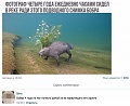 Нажмите на изображение для увеличения
Название: 39F55DDE-C92F-4E8E-BA7D-D81C09A442C1.jpeg
Просмотров: 342
Размер:	57.6 Кб
ID:	2104197