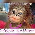 Нажмите на изображение для увеличения
Название: IMG-20180303-WA0001.jpg
Просмотров: 320
Размер:	70.0 Кб
ID:	2117220