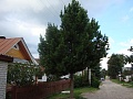 Нажмите на изображение для увеличения
Название: DSC00328.jpg
Просмотров: 89
Размер:	378.7 Кб
ID:	213842