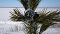 Нажмите на изображение для увеличения
Название: DSC_1397_1.jpg
Просмотров: 170
Размер:	671.7 Кб
ID:	2142837