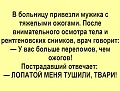 Нажмите на изображение для увеличения
Название: 11261608.jpg
Просмотров: 455
Размер:	75.1 Кб
ID:	2144468