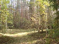 Нажмите на изображение для увеличения
Название: DSC01890.jpg
Просмотров: 79
Размер:	884.4 Кб
ID:	215069
