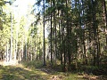 Нажмите на изображение для увеличения
Название: DSC01891.jpg
Просмотров: 81
Размер:	780.6 Кб
ID:	215070