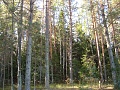 Нажмите на изображение для увеличения
Название: DSC01892.jpg
Просмотров: 101
Размер:	819.6 Кб
ID:	215071