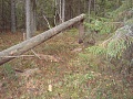 Нажмите на изображение для увеличения
Название: DSC01915.jpg
Просмотров: 75
Размер:	692.1 Кб
ID:	215072