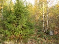 Нажмите на изображение для увеличения
Название: DSC01916.jpg
Просмотров: 83
Размер:	876.5 Кб
ID:	215073