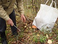 Нажмите на изображение для увеличения
Название: DSC01917.jpg
Просмотров: 101
Размер:	558.7 Кб
ID:	215074