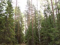 Нажмите на изображение для увеличения
Название: DSC01922.jpg
Просмотров: 75
Размер:	735.7 Кб
ID:	215076