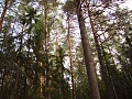 Нажмите на изображение для увеличения
Название: DSC01923.jpg
Просмотров: 66
Размер:	796.8 Кб
ID:	215077