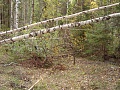 Нажмите на изображение для увеличения
Название: DSC01924.jpg
Просмотров: 72
Размер:	843.3 Кб
ID:	215078