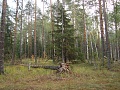 Нажмите на изображение для увеличения
Название: DSC01948.jpg
Просмотров: 83
Размер:	747.3 Кб
ID:	215082