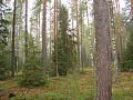 Нажмите на изображение для увеличения
Название: DSC01949.jpg
Просмотров: 69
Размер:	772.8 Кб
ID:	215083