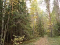Нажмите на изображение для увеличения
Название: DSC01953.jpg
Просмотров: 87
Размер:	787.3 Кб
ID:	215086