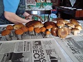 Нажмите на изображение для увеличения
Название: DSC01875.jpg
Просмотров: 101
Размер:	468.7 Кб
ID:	215099