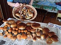 Нажмите на изображение для увеличения
Название: DSC01876.jpg
Просмотров: 79
Размер:	508.6 Кб
ID:	215100