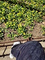 Нажмите на изображение для увеличения
Название: image-uni-178460-830611515.jpeg
Просмотров: 179
Размер:	539.3 Кб
ID:	2155001