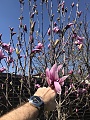 Нажмите на изображение для увеличения
Название: 19CDA8B3-430D-459A-8948-B303D052F625.jpg
Просмотров: 79
Размер:	579.8 Кб
ID:	2160841
