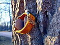 Нажмите на изображение для увеличения
Название: photostudio_1523722197051~01.jpg
Просмотров: 496
Размер:	326.4 Кб
ID:	2166740