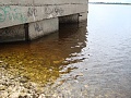 Нажмите на изображение для увеличения
Название: DSC00212.jpg
Просмотров: 79
Размер:	495.5 Кб
ID:	217239