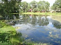 Нажмите на изображение для увеличения
Название: DSC00399.jpg
Просмотров: 104
Размер:	667.3 Кб
ID:	217247