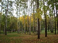Нажмите на изображение для увеличения
Название: DSC01930.jpg
Просмотров: 85
Размер:	787.3 Кб
ID:	217284