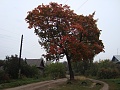 Нажмите на изображение для увеличения
Название: DSC01931.jpg
Просмотров: 92
Размер:	432.2 Кб
ID:	217285