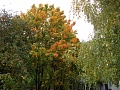 Нажмите на изображение для увеличения
Название: DSC01933.jpg
Просмотров: 81
Размер:	692.6 Кб
ID:	217287