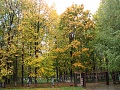 Нажмите на изображение для увеличения
Название: DSC01934.jpg
Просмотров: 73
Размер:	864.9 Кб
ID:	217288