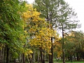 Нажмите на изображение для увеличения
Название: DSC01935.jpg
Просмотров: 83
Размер:	821.0 Кб
ID:	217289