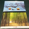 Нажмите на изображение для увеличения
Название: NHK__QSL_and_postal_card.jpg
Просмотров: 48
Размер:	726.6 Кб
ID:	2173820