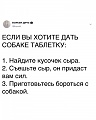 Нажмите на изображение для увеличения
Название: 9FA4286D-9A7F-4056-A6BB-339AF9957F30.jpeg
Просмотров: 435
Размер:	67.3 Кб
ID:	2185021