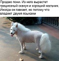 Нажмите на изображение для увеличения
Название: IMG-20180503-WA0001.jpg
Просмотров: 380
Размер:	65.6 Кб
ID:	2188982