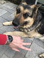 Нажмите на изображение для увеличения
Название: IMG_9376.jpg
Просмотров: 169
Размер:	510.5 Кб
ID:	2207076