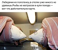 Нажмите на изображение для увеличения
Название: DCE301D2-BD98-4902-A98B-3701F29467CD.jpeg
Просмотров: 470
Размер:	72.4 Кб
ID:	2220866