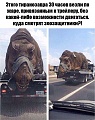 Нажмите на изображение для увеличения
Название: 5B35AC70-370F-4660-9D6E-B8957906C545.jpeg
Просмотров: 406
Размер:	99.4 Кб
ID:	2223060