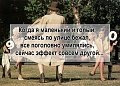 Нажмите на изображение для увеличения
Название: 0E41AE80-43C2-4047-A34B-CA66406045A3.jpeg
Просмотров: 390
Размер:	118.9 Кб
ID:	2224941