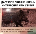 Нажмите на изображение для увеличения
Название: E2E9A709-6614-490F-A1D3-5FD02251E42D.jpeg
Просмотров: 463
Размер:	74.8 Кб
ID:	2251662