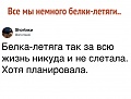 Нажмите на изображение для увеличения
Название: 11752920.jpg
Просмотров: 318
Размер:	77.1 Кб
ID:	2254819