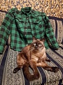 Нажмите на изображение для увеличения
Название: image-uni-178460-1198358063.jpeg
Просмотров: 181
Размер:	342.9 Кб
ID:	2265593