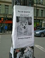 Нажмите на изображение для увеличения
Название: 63814AEE-6043-4F07-AA15-9FE58D64AEF8.jpeg
Просмотров: 447
Размер:	105.9 Кб
ID:	2268618