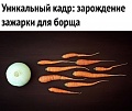 Нажмите на изображение для увеличения
Название: FC324745-7280-4B16-B793-582E616BD9B4.jpeg
Просмотров: 349
Размер:	65.0 Кб
ID:	2274557