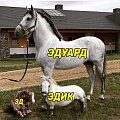 Нажмите на изображение для увеличения
Название: B7315DE7-1772-4032-8948-867B8DC1151A.jpeg
Просмотров: 446
Размер:	88.0 Кб
ID:	2278169